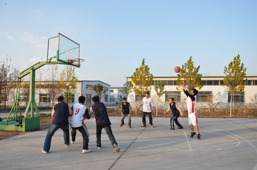 02.jpg
